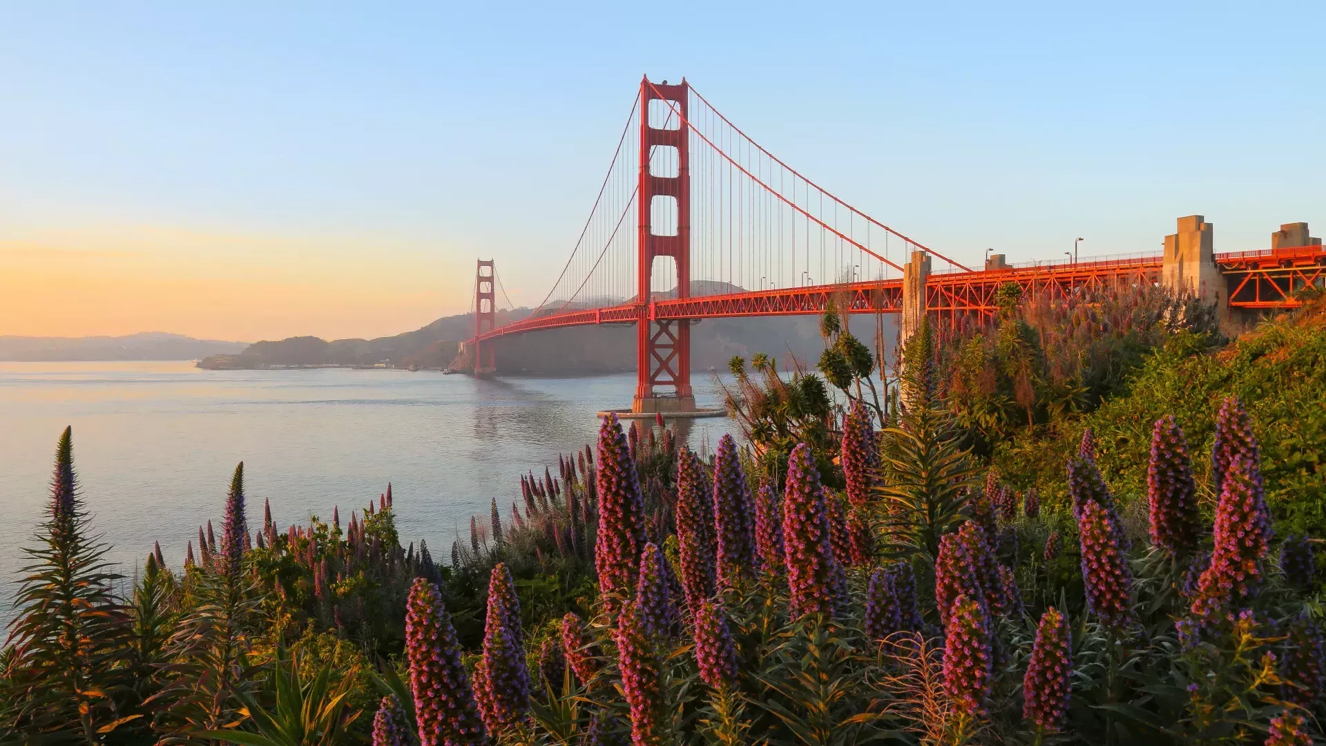 El puente Golden Gate aparece representado con grandes flores en primer plano.