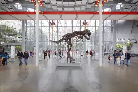 加州科学学院Dinosaur at the Sciences