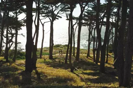 徒步旅行者沿着Lands End小径的森林部分行走，背景是太平洋.