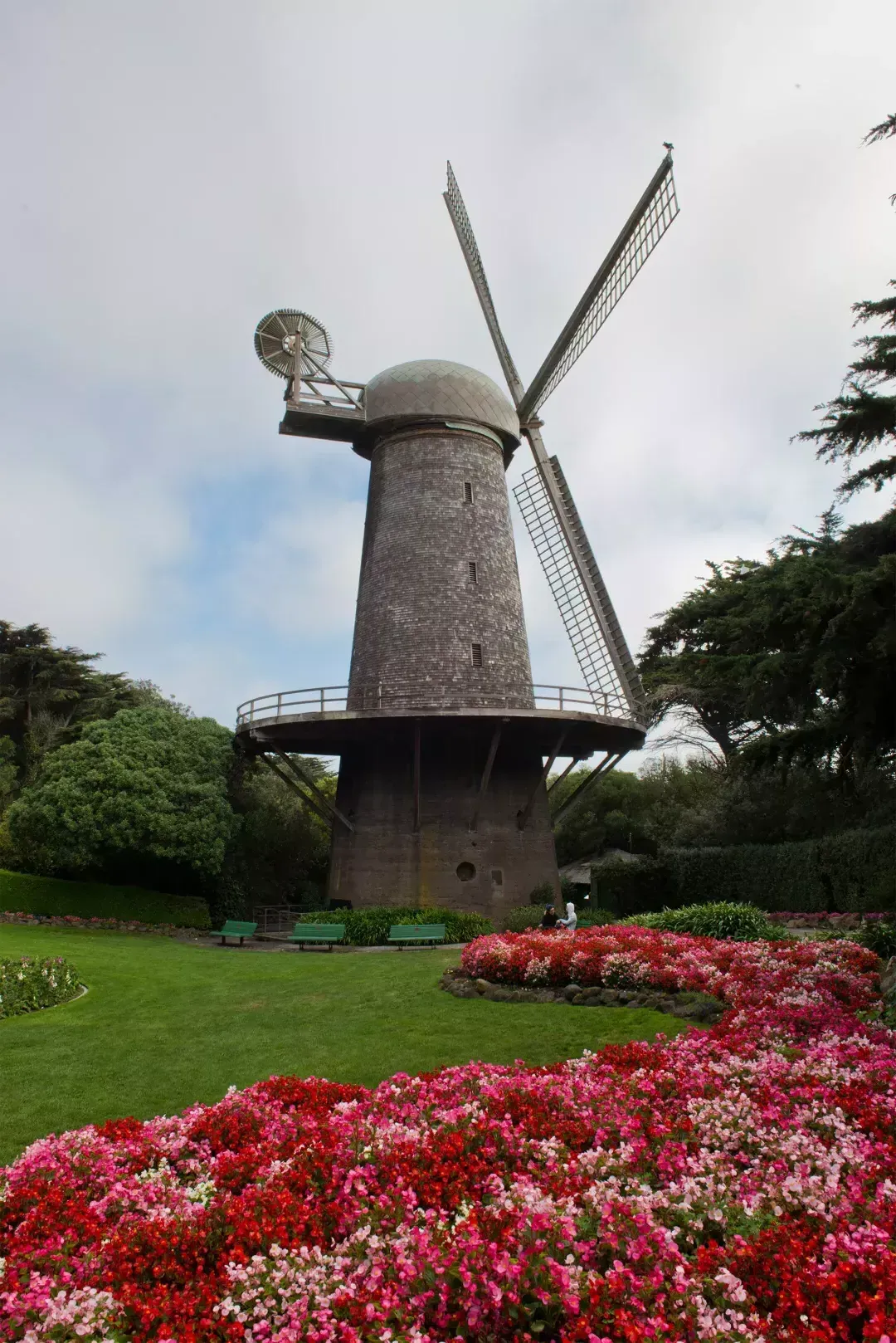 Dutch Windmill in Golden Gate Park