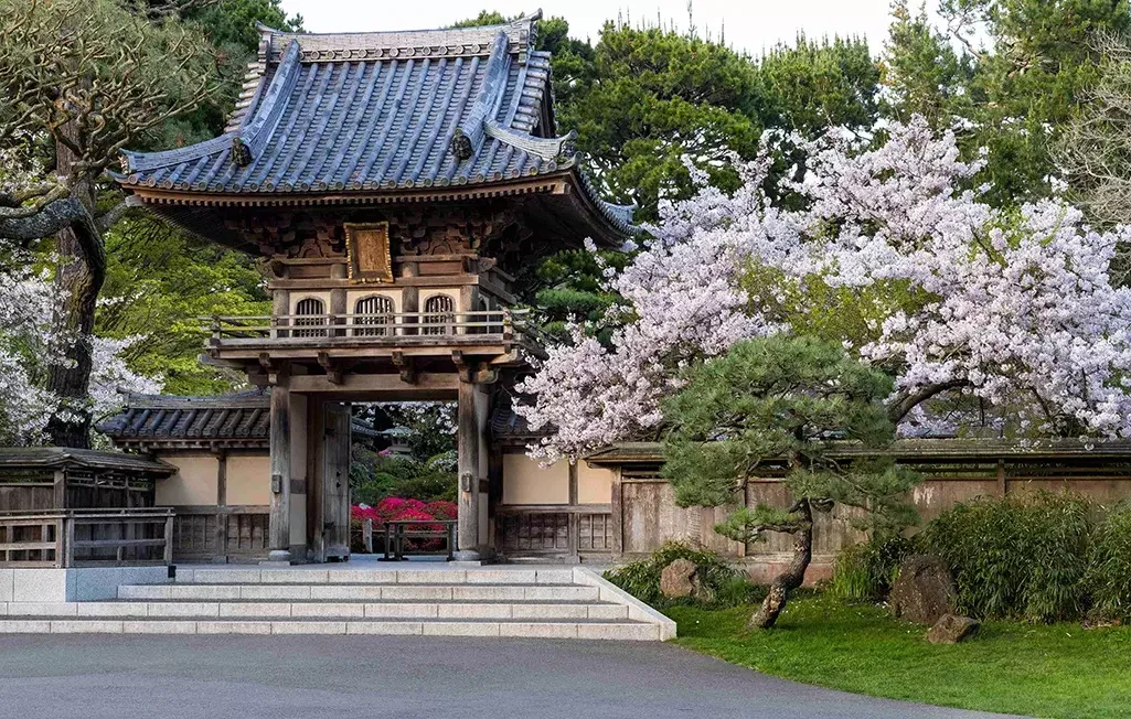 Tea Garden Entrance